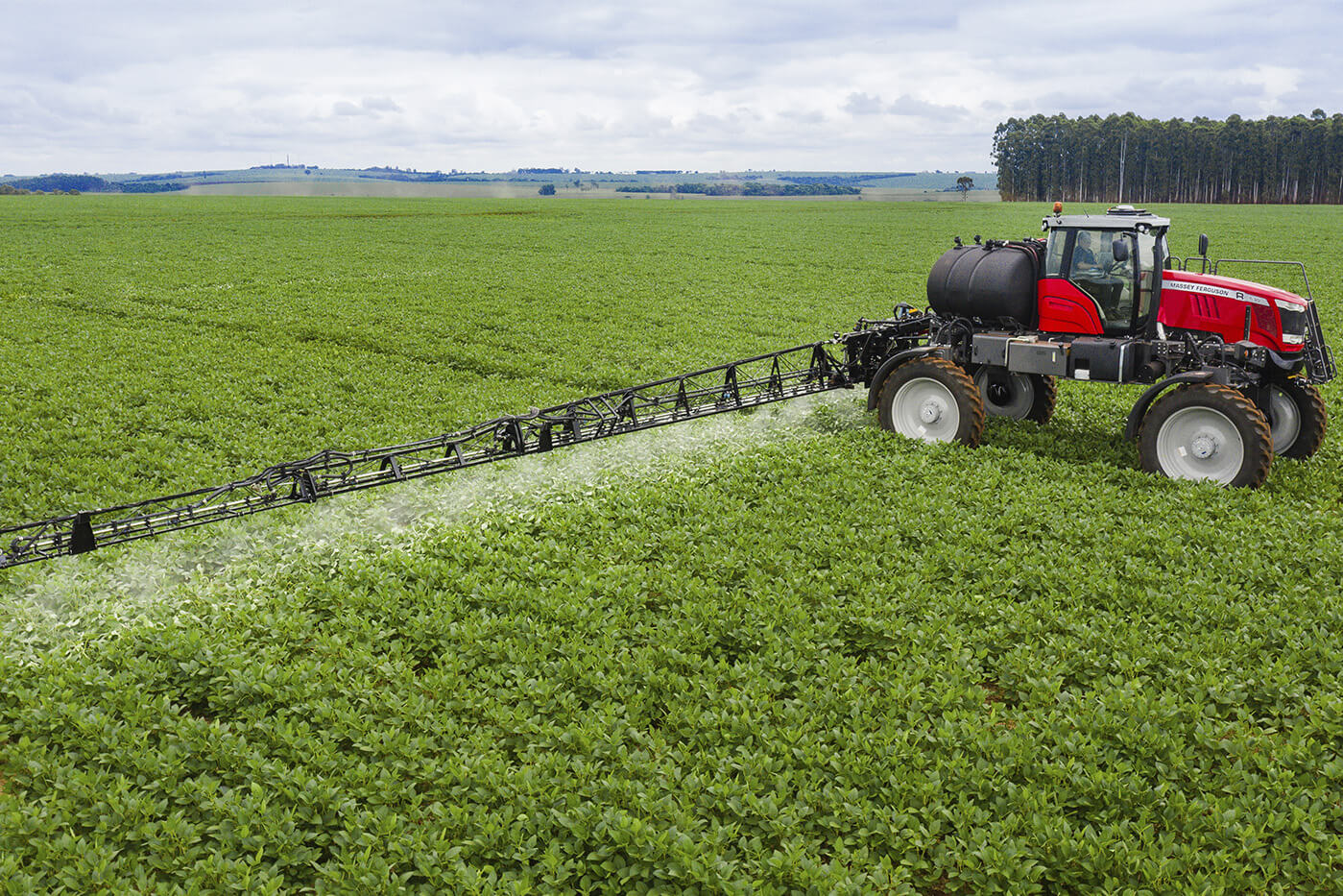 Descomplicado, Eficiente, Econômico e Sustentável